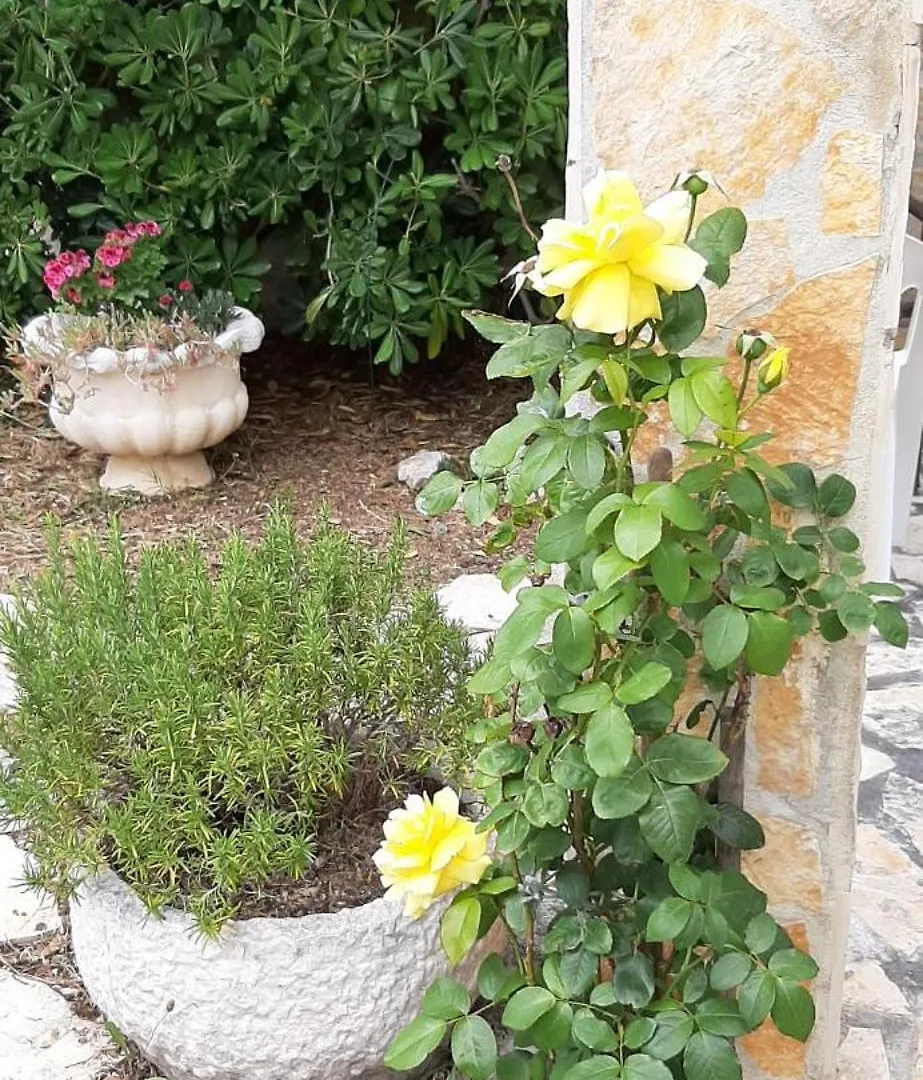Apartmani Presecki Pag Town