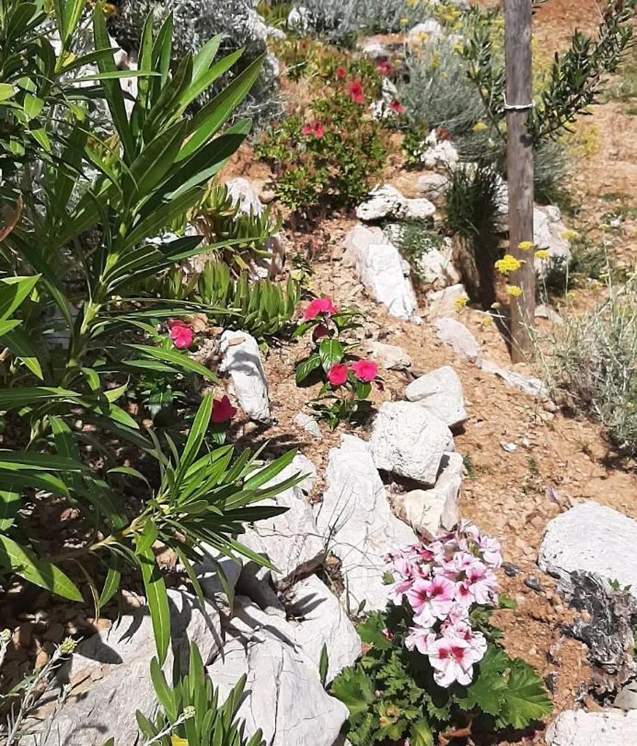 Apartmani Presecki Pag Town 0*,  Croatia